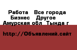 Работа - Все города Бизнес » Другое   . Амурская обл.,Тында г.